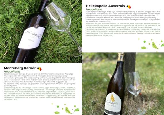 32P_04-05 -  - Belgische Wijn