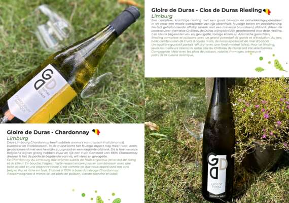 32P_12-13 -  - Belgische Wijn